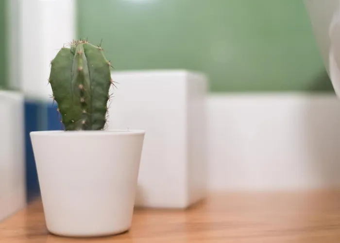 Гостевой дом Stylish